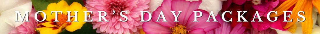 Mother's Day Spa Packages 2025 Mother's Day Spa Packages 2025 image banner