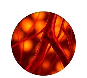 Blood circulation improvement from contrast therapy