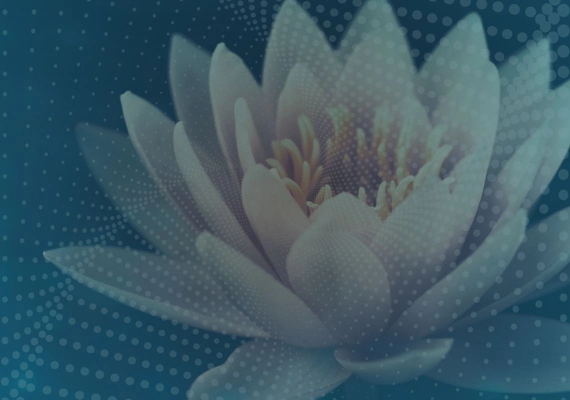 Massage therapy at Tranquil Radiance Spa in Palm Beach Gardens, Florida